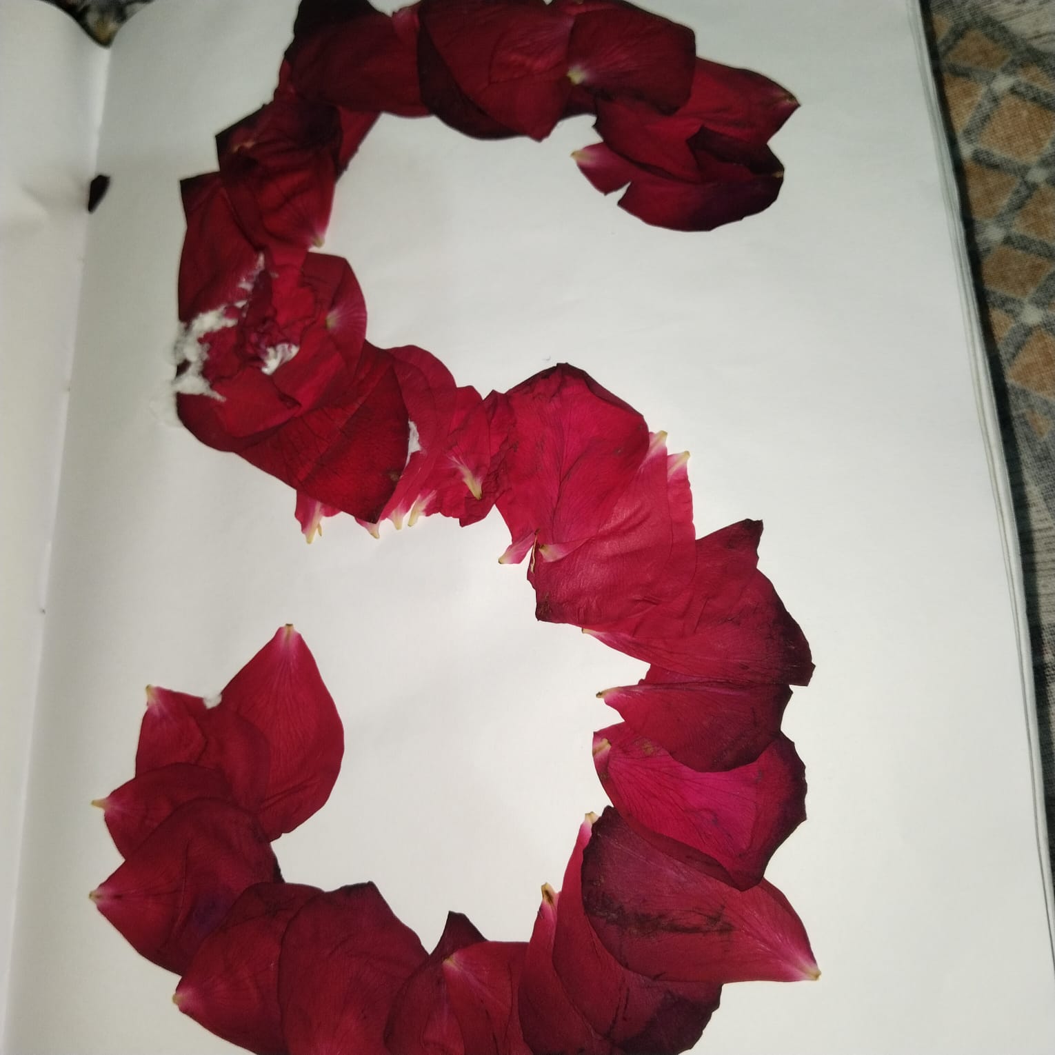 Suraj studio